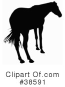 Horse Clipart #38591 by dero
