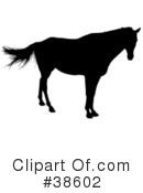 Horse Clipart #38602 by dero
