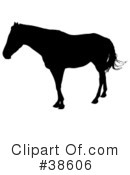 Horse Clipart #38606 by dero