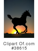 Horse Clipart #38615 by dero