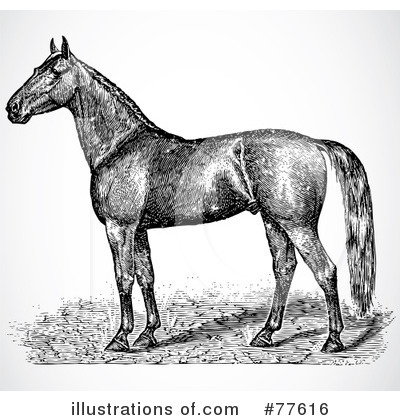 Royalty-Free (RF) Horse Clipart Illustration by BestVector - Stock Sample #77616