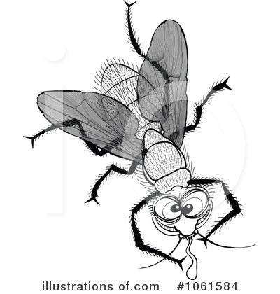 Royalty-Free (RF) House Fly Clipart Illustration by Zooco - Stock Sample #1061584