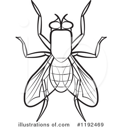 House Fly Clipart #1192469 by Lal Perera