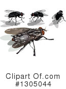 House Fly Clipart #1305044 by dero