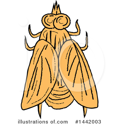 Royalty-Free (RF) House Fly Clipart Illustration by patrimonio - Stock Sample #1442003