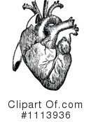 Human Heart Clipart #1113936 by Prawny Vintage