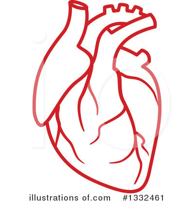 Royalty-Free (RF) Human Heart Clipart Illustration by Vector Tradition SM - Stock Sample #1332461