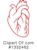 Human Heart Clipart #1332462 by Vector Tradition SM