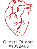 Human Heart Clipart #1332463 by Vector Tradition SM