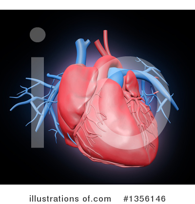 Cardiology Clipart #1356146 by Mopic
