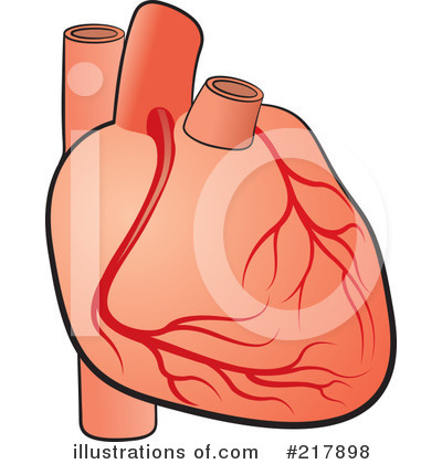 Royalty-Free (RF) Human Heart Clipart Illustration by Lal Perera - Stock Sample #217898