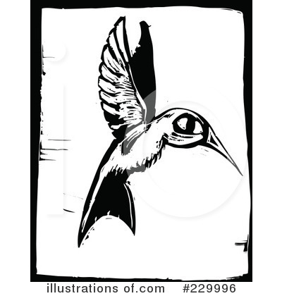 Royalty-Free (RF) Hummingbird Clipart Illustration by xunantunich - Stock Sample #229996