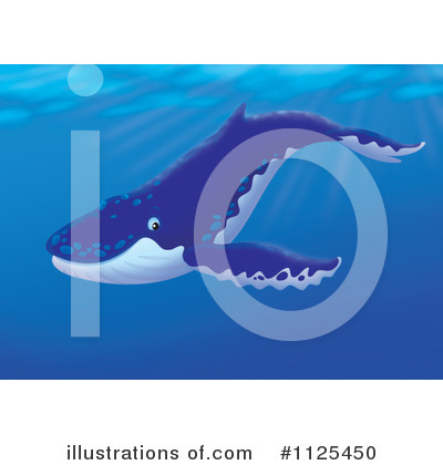 Humpback Whale Clipart #1125450 by Alex Bannykh