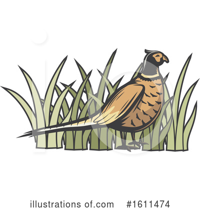 Pheasant Clipart #1611474 by Vector Tradition SM