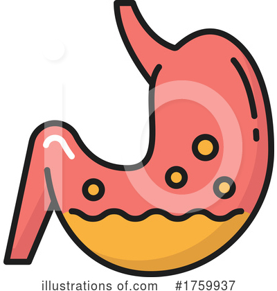 Stomach Clipart #1759937 by Vector Tradition SM