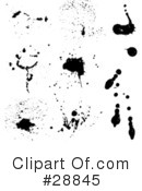 Ink Splatters Clipart #28845 by KJ Pargeter
