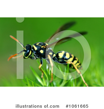 Royalty-Free (RF) Insect Clipart Illustration by Kenny G Adams - Stock Sample #1061665