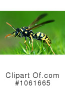 Insect Clipart #1061665 by Kenny G Adams
