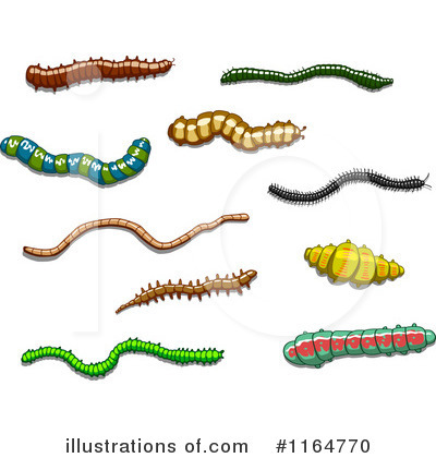 Royalty-Free (RF) Insect Clipart Illustration by Vector Tradition SM - Stock Sample #1164770