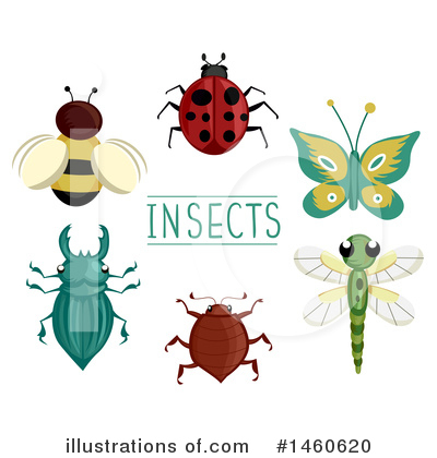Royalty-Free (RF) Insect Clipart Illustration by BNP Design Studio - Stock Sample #1460620