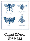 Insect Clipart #1684155 by patrimonio
