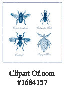 Insect Clipart #1684157 by patrimonio