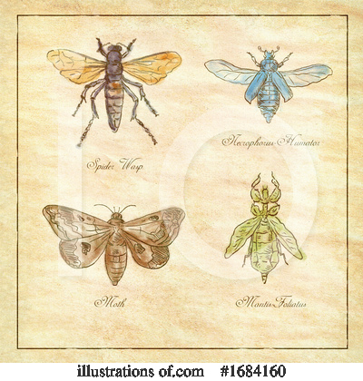 Royalty-Free (RF) Insect Clipart Illustration by patrimonio - Stock Sample #1684160