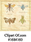 Insect Clipart #1684160 by patrimonio
