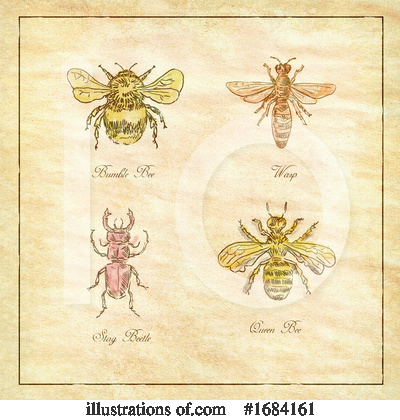 Royalty-Free (RF) Insect Clipart Illustration by patrimonio - Stock Sample #1684161
