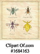 Insect Clipart #1684163 by patrimonio