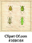 Insect Clipart #1684164 by patrimonio