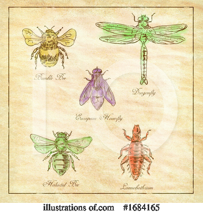 Royalty-Free (RF) Insect Clipart Illustration by patrimonio - Stock Sample #1684165
