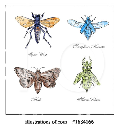 Royalty-Free (RF) Insect Clipart Illustration by patrimonio - Stock Sample #1684166