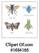 Insect Clipart #1684166 by patrimonio