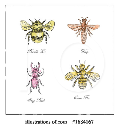 Royalty-Free (RF) Insect Clipart Illustration by patrimonio - Stock Sample #1684167