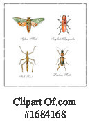 Insect Clipart #1684168 by patrimonio