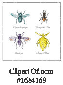 Insect Clipart #1684169 by patrimonio