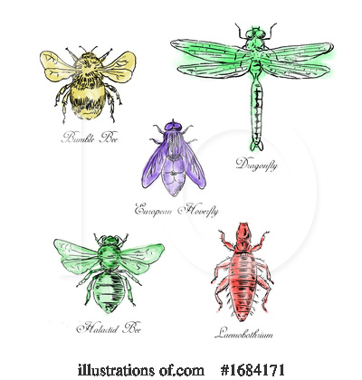 Royalty-Free (RF) Insect Clipart Illustration by patrimonio - Stock Sample #1684171