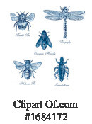 Insect Clipart #1684172 by patrimonio