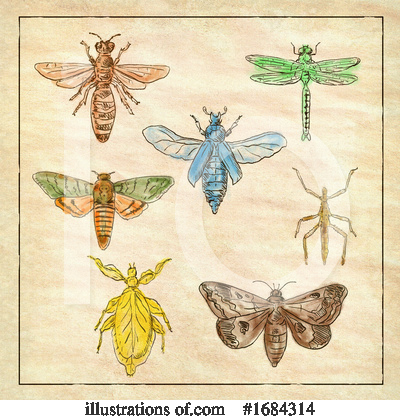 Royalty-Free (RF) Insect Clipart Illustration by patrimonio - Stock Sample #1684314