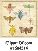 Insect Clipart #1684314 by patrimonio