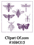 Insect Clipart #1684315 by patrimonio