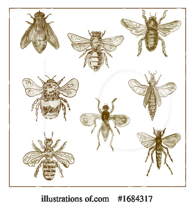 Royalty-Free (RF) Insect Clipart Illustration by patrimonio - Stock Sample #1684317
