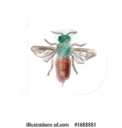 Wasp Clipart #1688881 by patrimonio