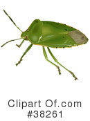 Insect Clipart #38261 by dero