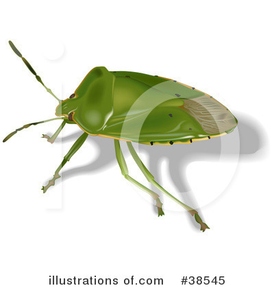 Royalty-Free (RF) Insect Clipart Illustration by dero - Stock Sample #38545