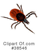 Insect Clipart #38546 by dero