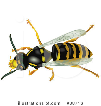 Royalty-Free (RF) Insect Clipart Illustration by dero - Stock Sample #38716