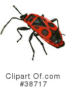 Insect Clipart #38717 by dero