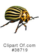 Insect Clipart #38719 by dero